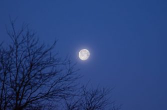 luna derevo noch 200153 1280x720